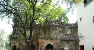 कैसे एक साधारण गांव से आर्ट हब के रूप में विकसित हुआ दिल्ली का लाडो सराय गांव Lado Sarai village