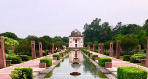 आपका मन मोह लेगी दिल्ली की सुंदर नर्सरी,20 हजार पौधे लगाए गए हैं