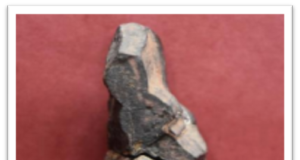 बड़ी दिलचस्प है इंडस वैली से भी 9000 वर्ष पुराने भारत के प्राचीन देवी पूजा स्थल के खोज की कहानी