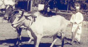 जब बिजली के बिल की टेंशन की वजह से आवास की लाइटें बंद कर देते थे लाल बहादुर शास्त्री, दिल को छू जाएगा यह किस्सा