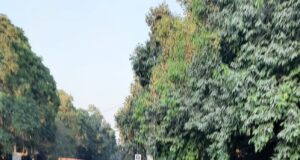 एडहॉक शिक्षकों के मसले पर डीयू शिक्षकों ने किया प्रदर्शन