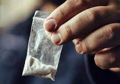 बड़ी मछलियों को पकड़ने की जरूरत