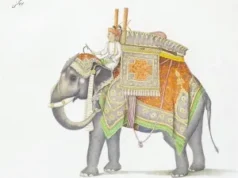 मुगल बादशाह का हाथी बच्चों संग खेलता था नक्की आवे खेल, दिलचस्प है कहानी