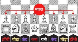 भारत में शतरंज खेल का इतिहास, कभी दिल्ली के हर घर में खेला जाता था