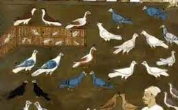 जब कबूतर के लिए रोने लगे दिल्ली के नवाब