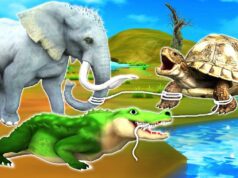 बाल कहानी : एकता की शक्ति