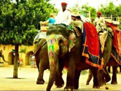 दिल्ली के अमीर, मुगल दौर में इस तरह करते थे यात्रा