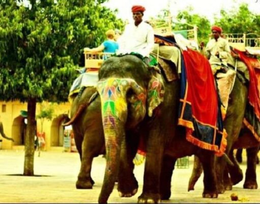 दिल्ली के अमीर, मुगल दौर में इस तरह करते थे यात्रा