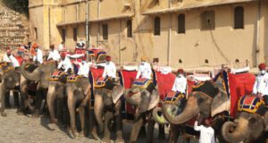 दिल्ली में हाथी, घोड़ा और पालकी की सवारी