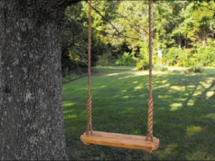 दिल्ली में गाए जाने वाले सावन के गीत