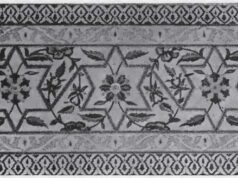 मुस्लिम काल की दिल्ली (पठान काल) : कुश्के फीरोजी-कुश्के सब्ज और चबूतरा नासिरा का इतिहास