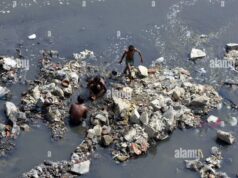 दिल्ली में यमुना नदी से सिक्के इकट्ठा करने वालों की दिलेरी