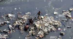 दिल्ली में यमुना नदी से सिक्के इकट्ठा करने वालों की दिलेरी