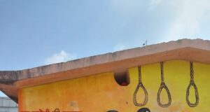 एक संघ प्रचारक की अविरल जीवन गाथा