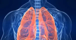 Delhi university research: खुले में काम करने वालों के फेफड़े कमजोर