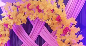 इतिहास के पन्नों से क्या हटाना चाहेंगी…..UPSC टॉपर नौशीन ने दिया यह जवाब