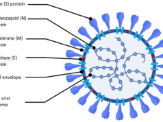 कोरोना के नए वैरिएंट ने स्वास्थ्य एजेंसियों की बढ़ाई चिंता