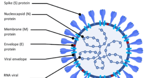 कोरोना के नए वैरिएंट ने स्वास्थ्य एजेंसियों की बढ़ाई चिंता