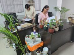 प्रधानमंत्री मोदी और मुख्यमंत्री योगी से प्रेरित हो पर्यावरण संरक्षण की अलख जगा रहीं निहारिका श्रीवास्तव