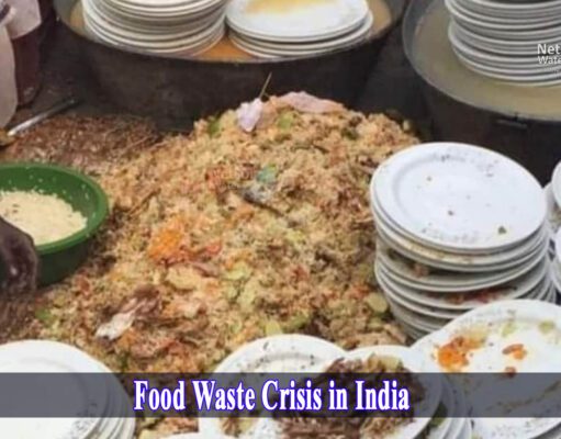 खाने की बर्बादी से भारत को हर साल 92 हजार करोड़ का हो रहा नुकसान