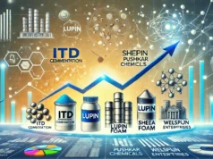 नए साल में मिलेगा शानदार मुनाफा, ये 5 स्टॉक्स दे सकते हैं 70 तक का रिटर्न!