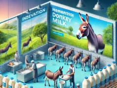 Business Idea: गधी के दूध से करोड़ों की कमाई, जानें कैसे एक अनोखी डिमांड बदल सकती है आपकी किस्मत!