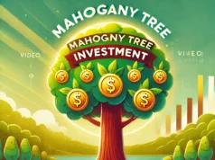 High Profit Farming: पैसा छापने की मशीन है यह पेड़! एफडी और म्यूचुअल फंड से बेहतर, लाखों की कमाई का मौका