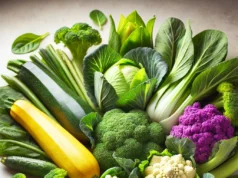 Business Idea: ऑस्ट्रेलिया से मंगवाए बीज, अब भारत में उगा रहे हैं विदेशी सब्जियां… हर किलो में छप्परफाड़ कमाई!