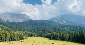 Pahalgam Attack: FWICE ने लगाया पाकिस्तानी कलाकारों पर बैन, क्या खत्म होगी Fawad-Hania की फिल्म?