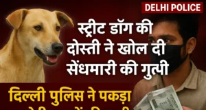 ‘Street Dog’ की दोस्ती से खुली सेंधमारी की गुत्थी, 8 घंटे में दिल्ली पुलिस ने पकड़ा आरोपी….हुआ चौंकाने वाला खुलासा street dog