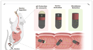 IIT Delhi: पेट में जाने वाली माइक्रोरोबोटिक गोली से अब आंत के बैक्टीरिया की होगी सटीक जाँच! iit delhi