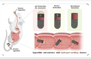 IIT Delhi: पेट में जाने वाली माइक्रोरोबोटिक गोली से अब आंत के बैक्टीरिया की होगी सटीक जाँच! iit delhi