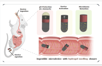 IIT Delhi: पेट में जाने वाली माइक्रोरोबोटिक गोली से अब आंत के बैक्टीरिया की होगी सटीक जाँच! iit delhi