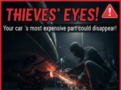 Exclusive: आपकी कार का कीमती हिस्सा है चोरों के निशाने पर! Catalytic Converter Theft से बचने के लिए आ गए धांसू टिप्स, आज ही आजमाएं Catalytic Converter Theft